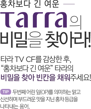 홍차보다 긴 여운 TARRA의 비밀을 찾아라!